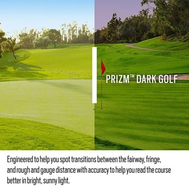 View of Prizm Dark Golf