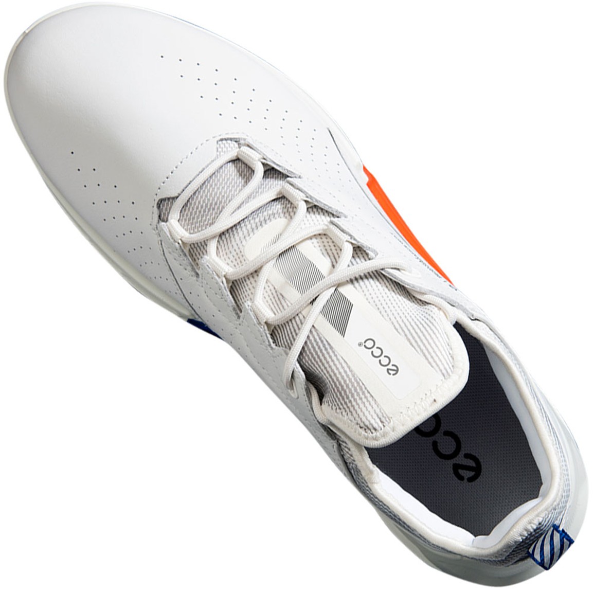 ECCO Men's Biom C4 Golf Shoes | TGW