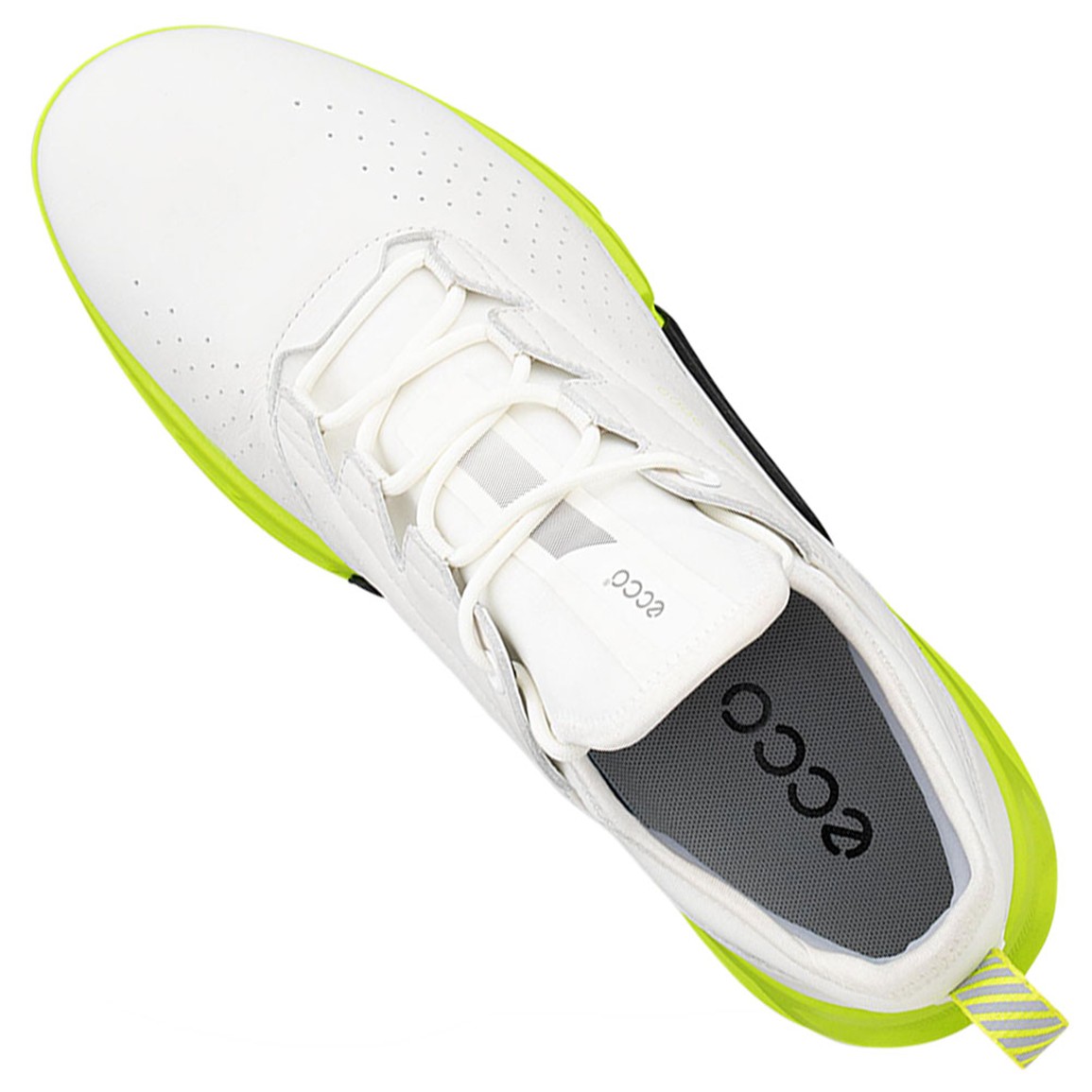 ECCO Men's Biom C4 Golf Shoes | TGW