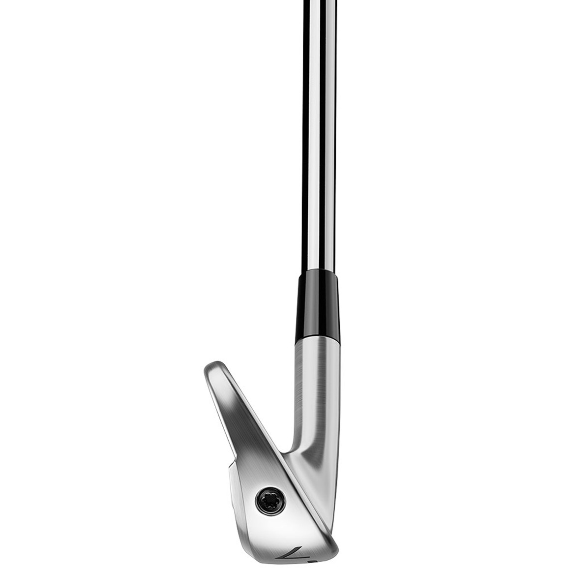 TaylorMade P770 Iron Set | TGW