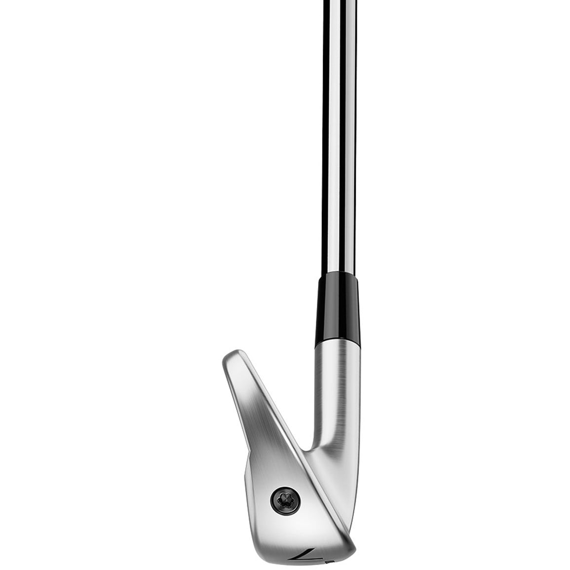 TaylorMade Men's 2025 P790 Irons | TGW