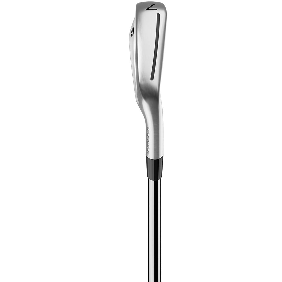 TaylorMade Men's 2025 P790 Irons | TGW