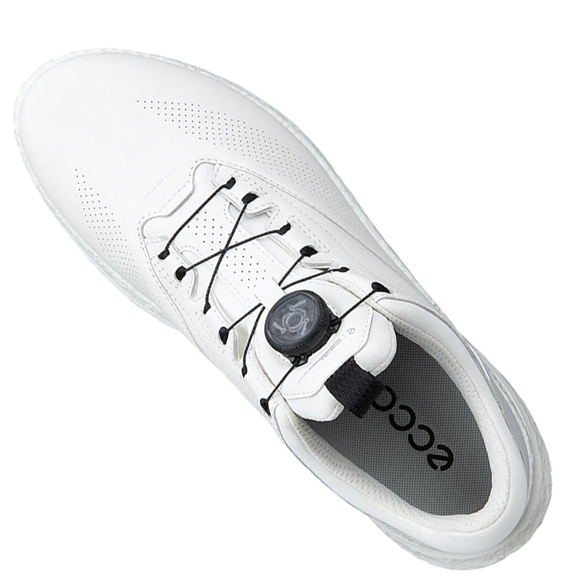 ECCO Men's Biom C5 BOA Golf Shoes | TGW