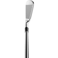 TaylorMade P770 Iron Set, 2-z