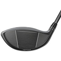 Cobra Men's DarkSpeed Adapt MAXK Limited Edition Arnold Palmer Driver, 2-z