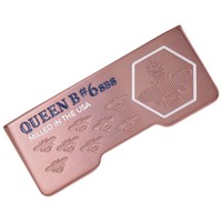 Bettinardi 2025 Queen B 6 SBS Putter, 5-z