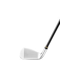 XXIO Men's Prime Royal Edition 6 Irons, 2-z