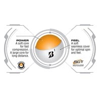 Bridgestone 2025 E6 Soft Golf Balls, Yellow