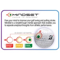 Bridgestone 2025 E12 Straight Golf Balls, White