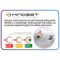 Bridgestone 2025 E12 Speed Golf Balls, White