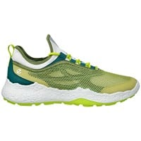 ECCO Men's Biom H5 Textile Limited Edition Golf Shoes, Green