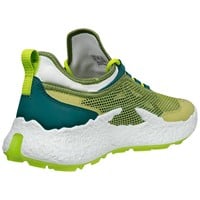 ECCO Men's Biom H5 Textile Limited Edition Golf Shoes, Green