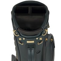 Titleist Limited Edition Tee Time LINKSLEGEND Golf Stand Bag, Green/Gold