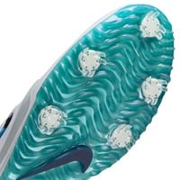 NIKE Victory Pro 4 Golf Shoes - Discontinued Style, White/White