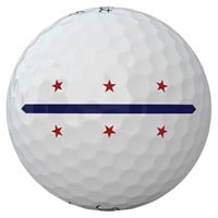 Titleist Pro V1 USA Golf Balls, White