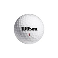 Wilson Smart-Core Straight Distance Double Dozen Golf Balls, White