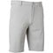 Oakley Men's Take Pro 3.0 10in Golf Shorts, grey-x-2-z