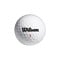 Wilson Smart-Core Straight Distance Double Dozen Golf Balls, 3-z