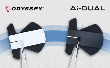 Ai-DUAL