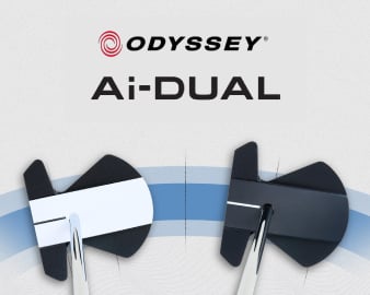 Ai-DUAL