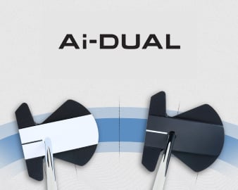 Ai-DUAL